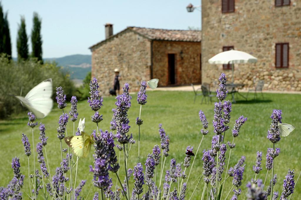 Tenuta Casabianca Murlo Rom bilde